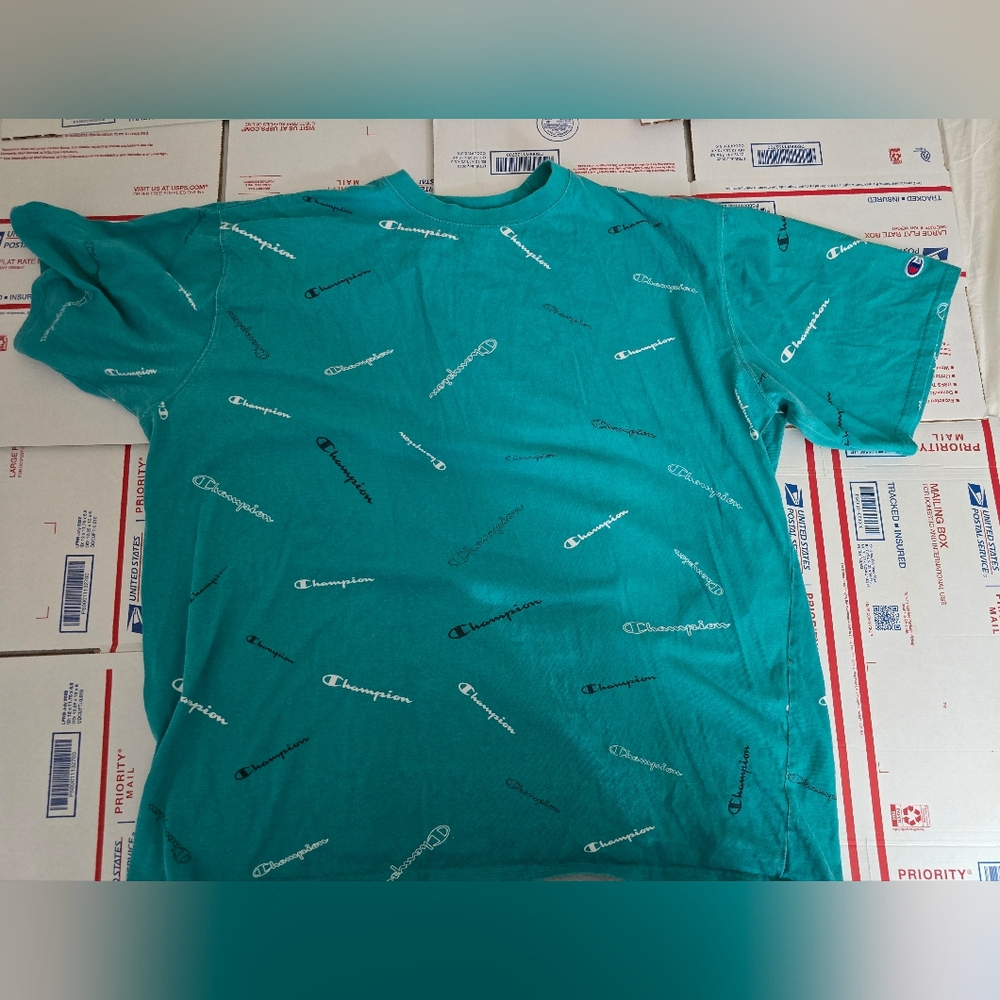 Champion Logo Shirt Tee Light Green Authentic Athleticwear, 2XLT (C2)